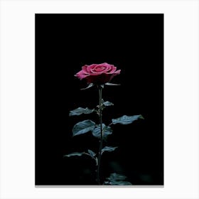 Black Rose 20 Canvas Print