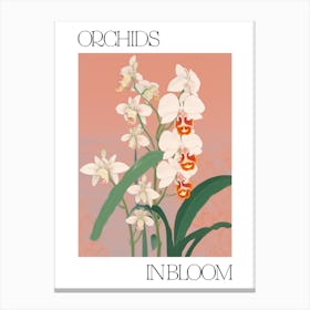 Orchids In Bloom Flowers Bold Illustration 1 Canvas Print
