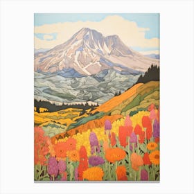 Mount St Helens United States 5 Colourful Mountain Illustration Canvas Print