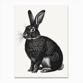 Blanc De Hotot Blockprint Rabbit Illustration 5 Canvas Print