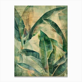 Tropical Leaves 101 Canvas Print