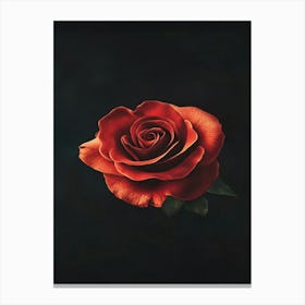 Red Rose 6 Canvas Print