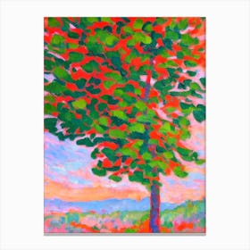 Grand Fir tree Abstract Block Colour Canvas Print