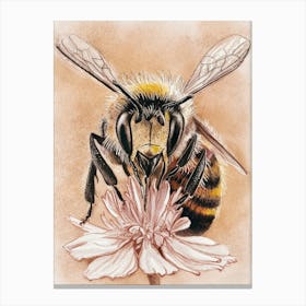 Bee On Flower Canvas Print