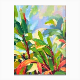 Rubber Plant Impressionist Painting Canvas Print