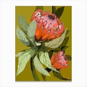 Protea Painting On Green Canvas Print