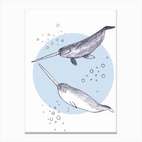 Narwhals Canvas Print