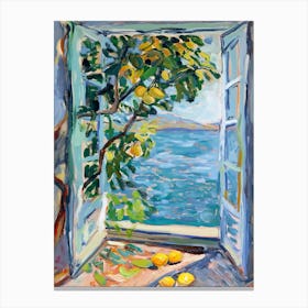 Open Window Canvas Print