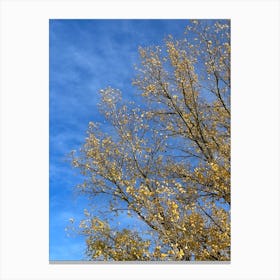 Autumn Tree Against Blue Sky Canvas Print