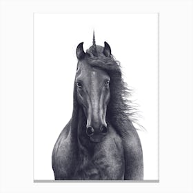 Black Unicorn Canvas Print