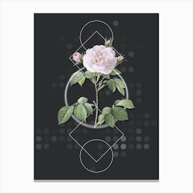 Vintage Rosa Alba Botanical with Geometric Line Motif and Dot Pattern n.0230 Canvas Print