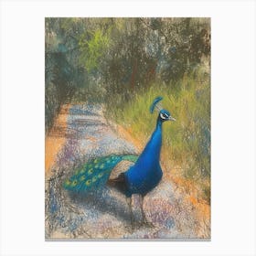 Peacock On The Path Scribble Portrait 2 Canvas Print