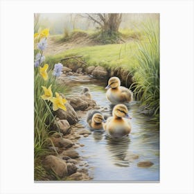 Ducklings Swimming Down The River 1 Canvas Print