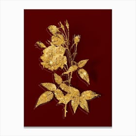 Vintage Common Rose of India Botanical in Gold on Red n.0525 Canvas Print