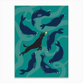 Labrador Seal Dog swimming with Seals Canvas Print