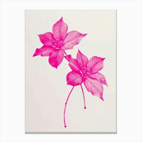 Hot Pink Poinsettia 2 Canvas Print