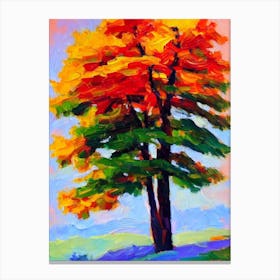 Norway Spruce 1 tree Abstract Block Colour Canvas Print