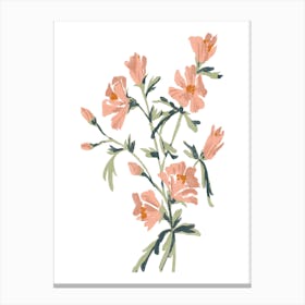 Pink Flowers Canvas Print