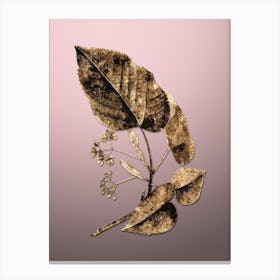Gold Botanical Linden Tree Branch on Rose Quartz n.4669 Canvas Print