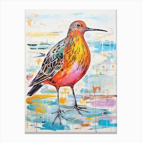 Colourful Bird Painting Dunlin 2 Canvas Print