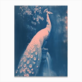 Peacock In The Fountain Pink & Blue Cyanotype Inspired 2 Canvas Print