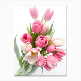 Pink Tulips 2 Canvas Print