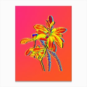 Neon Swamp Titi Leaves Botanical in Hot Pink and Electric Blue n.0023 Canvas Print