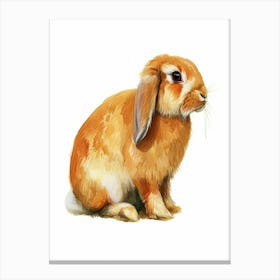 English Lop Rabbit Nursery Illustration 1 Canvas Print