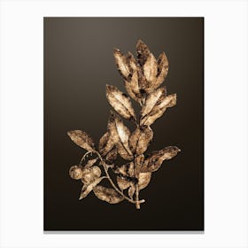 Gold Botanical Strawberry Tree Branch on Chocolate Brown n.2606 Canvas Print