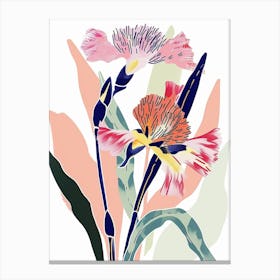 Colourful Flower Illustration Carnation Dianthus 4 Canvas Print