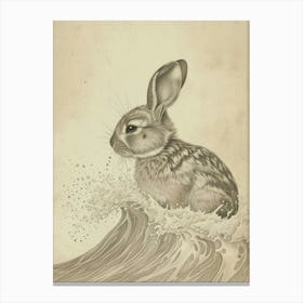 Tans Rabbit Drawing 1 Canvas Print