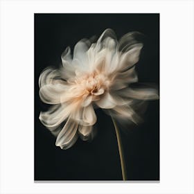 Dahlia Flower 1 Canvas Print