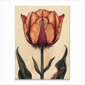 Floral Art 0008 Flower Single 0012 Fine Flowers 0006 Bp6586 An Old School Botanic Detailed Drawing Of A Carnivorou 763cd Canvas Print