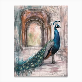 Peacock In A Palace Sketch Canvas Print