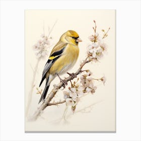 Vintage Bird Drawing American Goldfinch 2 Canvas Print