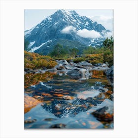 Reflections In The Water Canvas Print