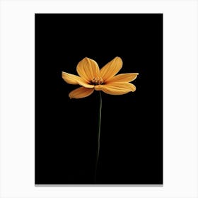 Single Yellow Flower 14 Canvas Print