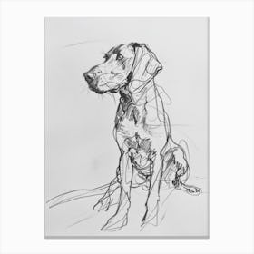 Vizsla Dog Charcoal Line 1 Canvas Print
