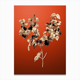 Gold Botanical Platilobium on Tomato Red n.4607 Canvas Print