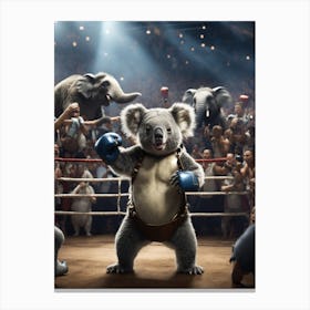 Koala In Boxing Ring Canvas Print