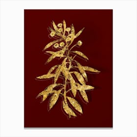Vintage Globe Daisy Shrub Botanical in Gold on Red n.0515 Canvas Print