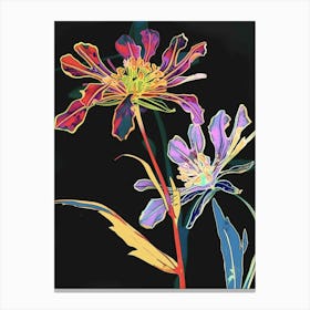 Neon Flowers On Black Scabiosa 3 Canvas Print