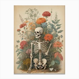 Botanical Skeleton Vintage Painting (4) Canvas Print