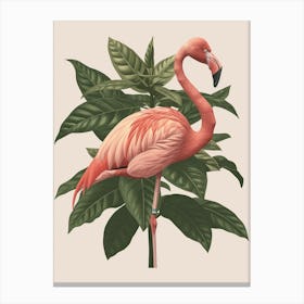 American Flamingo And Croton Plants Minimalist Illustration 1 Canvas Print