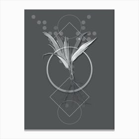 Vintage Date Palm Tree copy Botanical with Line Motif and Dot Pattern in Ghost Gray n.0278 Canvas Print
