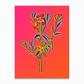 Neon Bog Laurel Bloom Botanical in Hot Pink and Electric Blue n.0580 Canvas Print