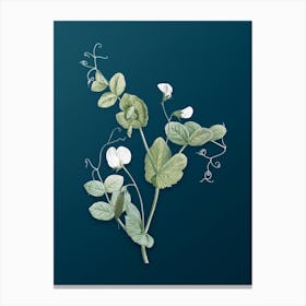 Vintage White Pea Flower Botanical Art on Teal Blue n.0136 Canvas Print
