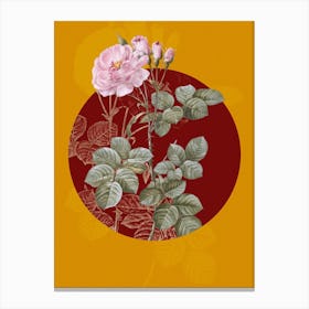Vintage Botanical Damask Rose on Circle Red on Yellow n.0075 Canvas Print