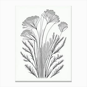 Fennel Herb William Morris Inspired Line Drawing 2 Canvas Print