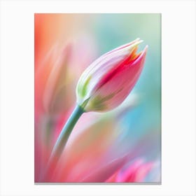 Floral Art 0009 Single Botanical 0000 Flower Blur 0000 Bp6586 Macro Photo Of A Heavenly Adorable Beautiful Rare Find 0bc Canvas Print